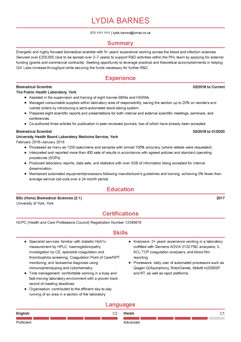 Modern CV template 1