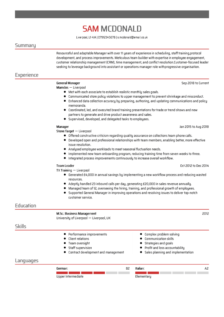 Professional CV template