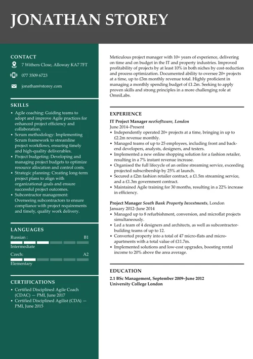 projektipäällikön CV-esimerkki